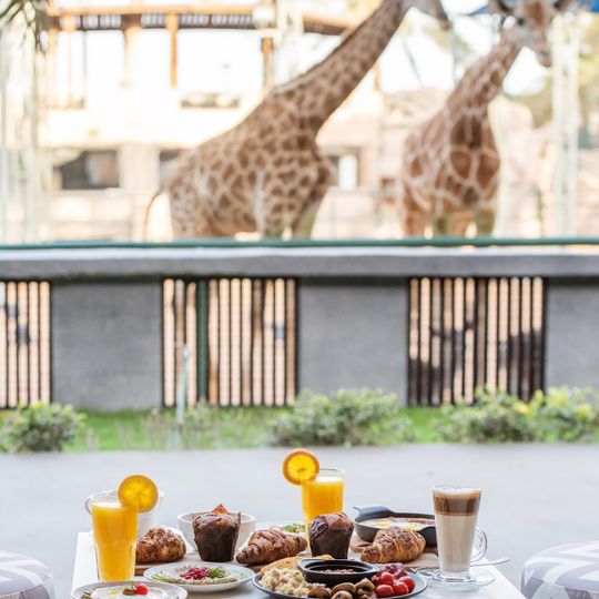 Emirates Park Resort