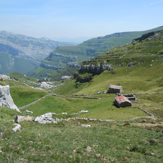 LIC-MONTAÑA ORIENTAL