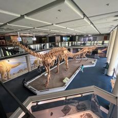 Iziko Museums