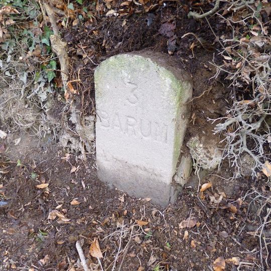 Milestone, S and opp. "Sunnymead" and public bridgeway