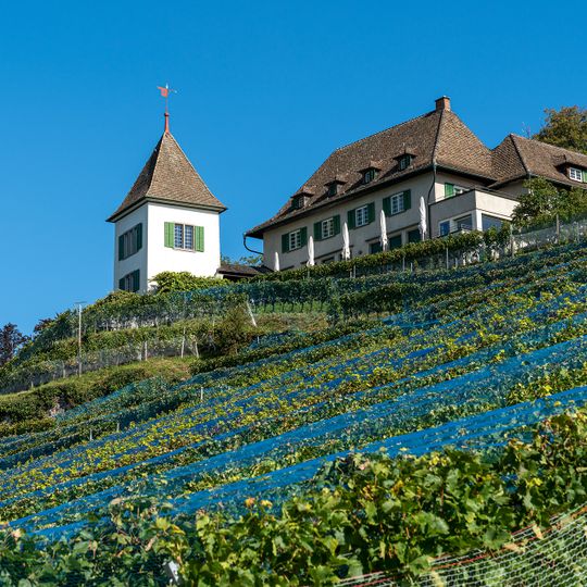Landhaus Turmgut mit Rebturm
