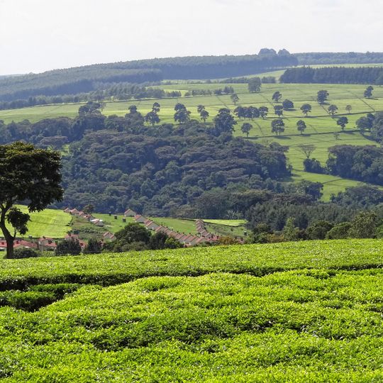 Kericho County