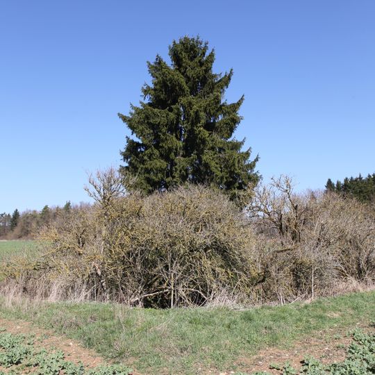 Doline Donnerloch E von Drossenhausen