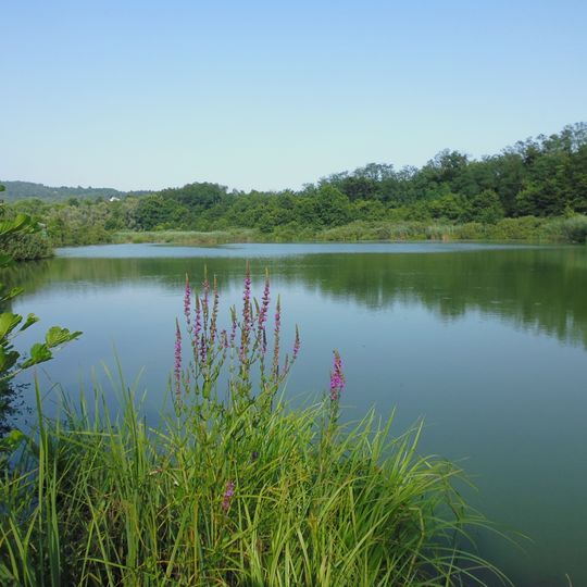 Oasi del Bassone-Torbiera di Albate