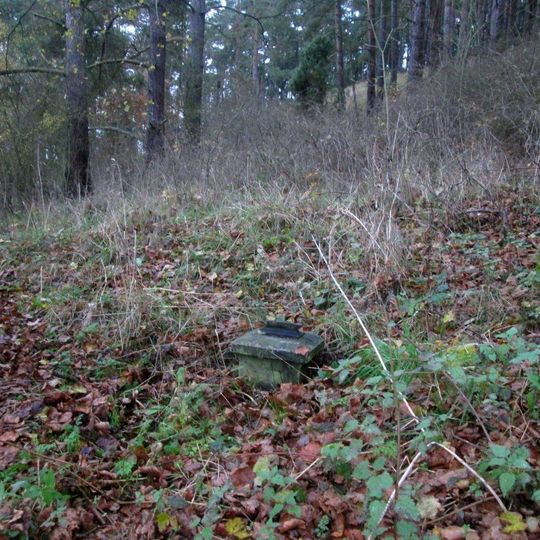 Kříž západně od Strážiště u rozcestí