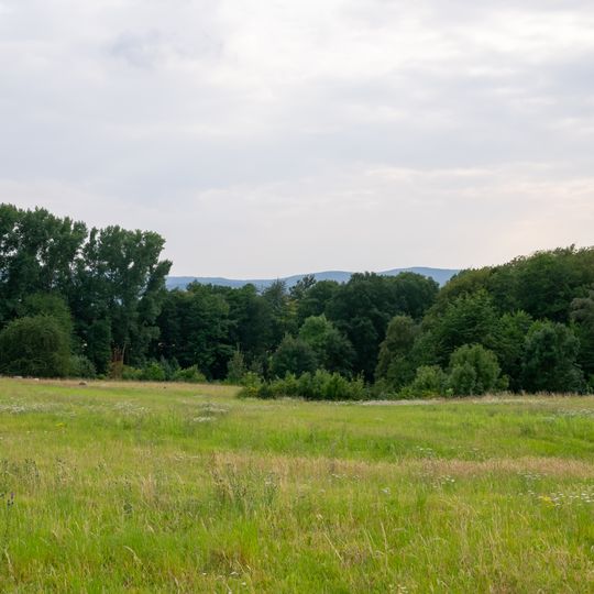 Buchenwald / Obstwiesenkomplex bei Hedderhagen