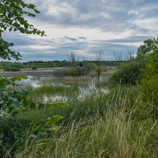 Stawy Kiszkowskie observation tower