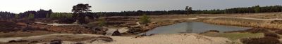 Panoramic View 0