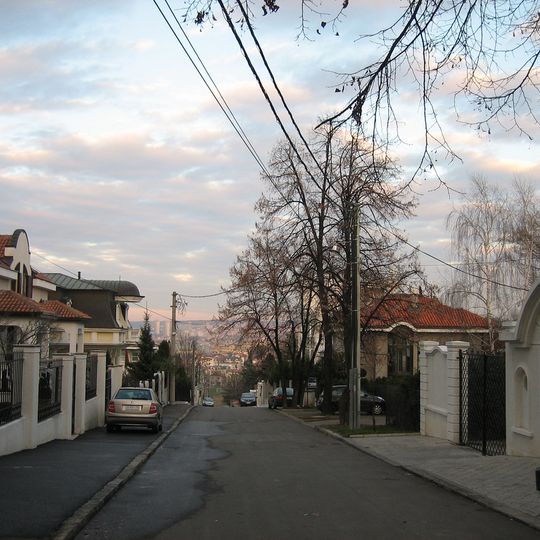 Dedinje