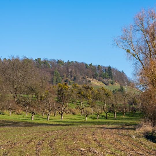 Schmidbachtal - Oberes Bottwartal mit Seitentälern und umgebenden Gebietsteilen