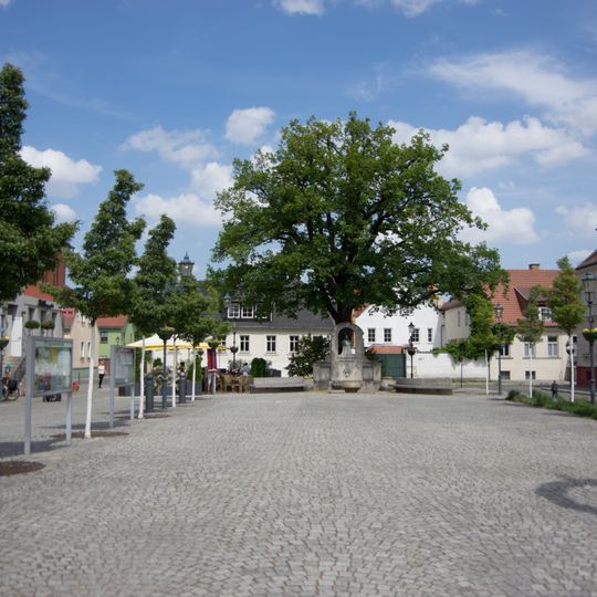 Naturdenkmal Eiche Marktplatz, an der Nordseite in Teltow