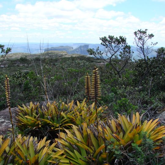 Parque Natural Municipal do Morro do Pai Inácio