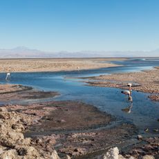 Laguna Chaxa