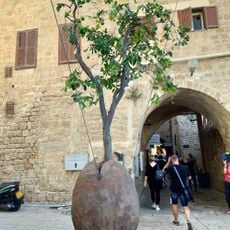 Floating Orange Tree