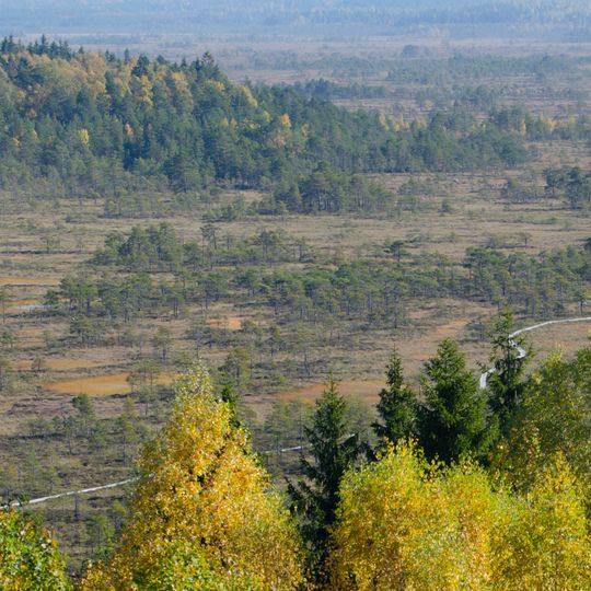 Parc national de Torronsuo