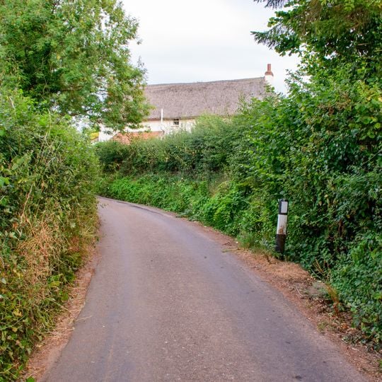 Aller Grove Cottage