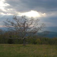 Tanners Ridge Overlook