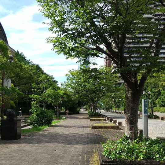 Momochi 1st Pedestrian Path