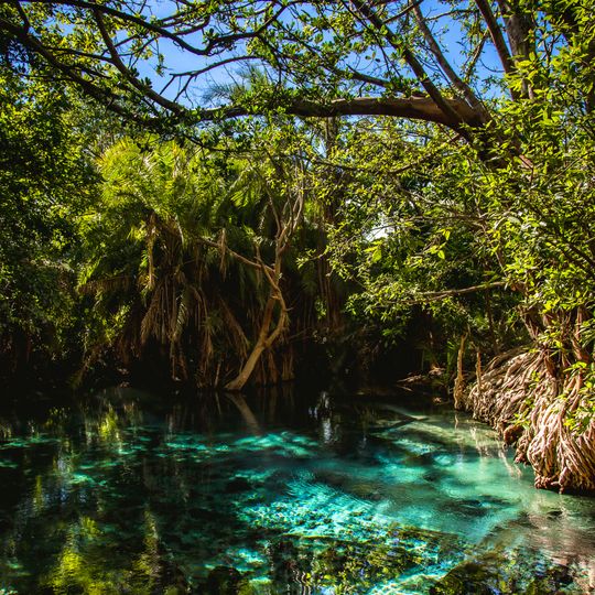 Kikuletwa Hot Springs