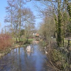 Singlers Marsh