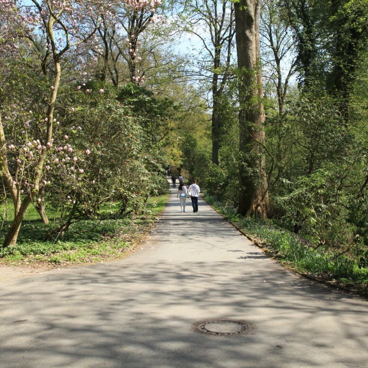 Jardim Botânico Rombergpark