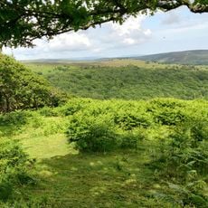 Dowsborough