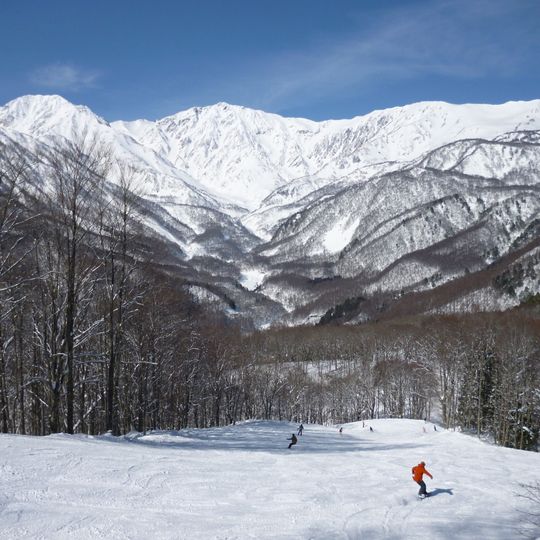 Hakuba Iwatake Snow Field