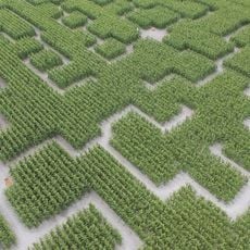 Pop Corn Labyrinthe