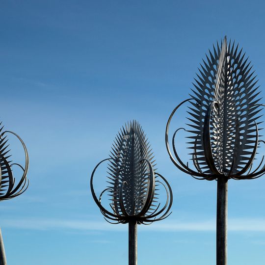 Muiravonside Country Park