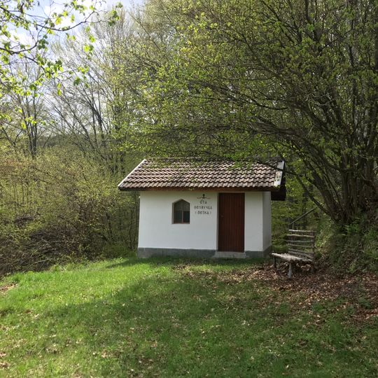 Света Петка