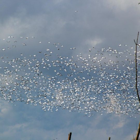 Chautauqua National Wildlife Refuge