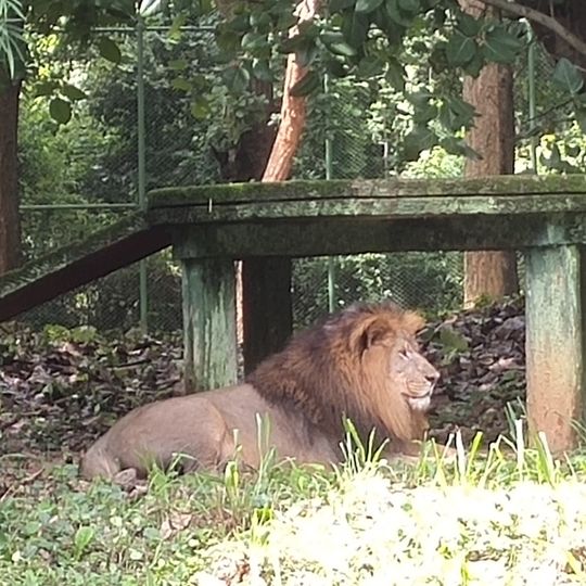 Bhagwan Birsa Biological Park