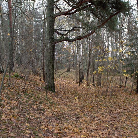 Gökstenens naturreservat