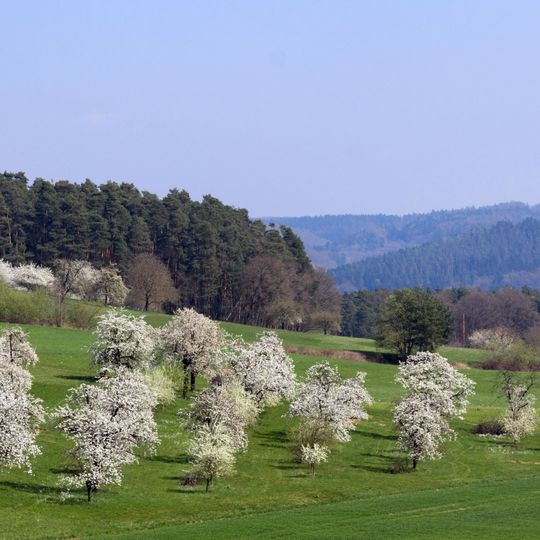 Streuobst, Kopfeichen und Quellen am Hetzleser Berg