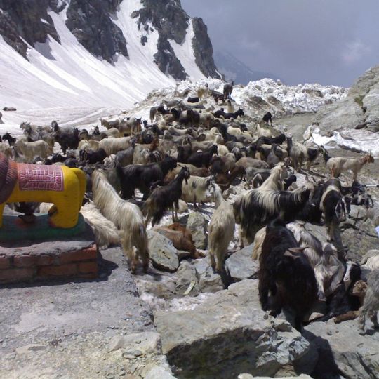 Saach Pass