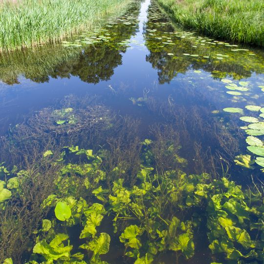 Gewässersystem der Jeetzel mit Quellwäldern