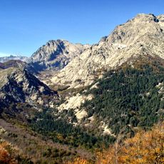 Forêt de Vizzavona