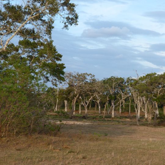 Parco nazionale di Lunugamvehera