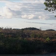 Anderstorps Stormosse