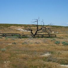 Wells Springs Segment