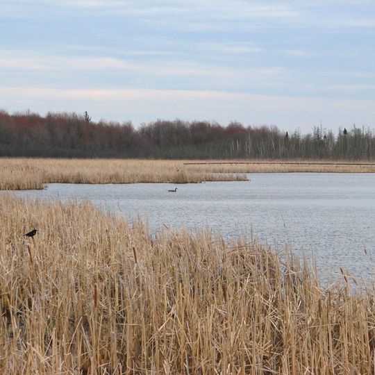 Mer Bleue Conservation Area