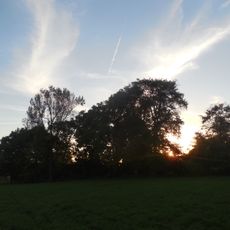 Park in Brzezie, powiat starachowicki