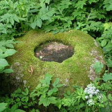 Šauklių akmuo su dubeniu