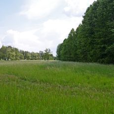 Orchids of Stryzhavka