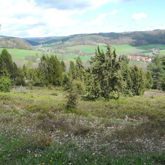 Wacholderheide bei Vockerode-Dinkelberg