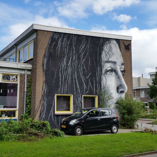 Muurschildering Emanuel van Meterenstraat