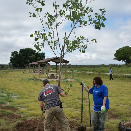 Cottonwood Day Use Area