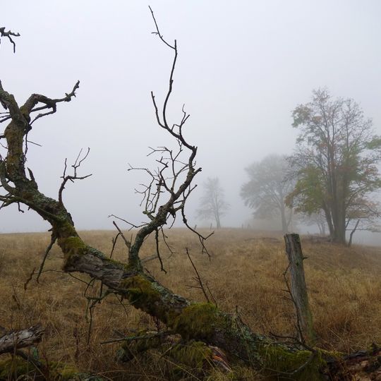 Bergwiesen bei St. Andreasberg