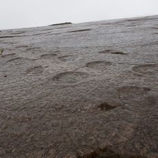 Pegadas da Serra de Aire