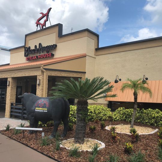 Black Angus